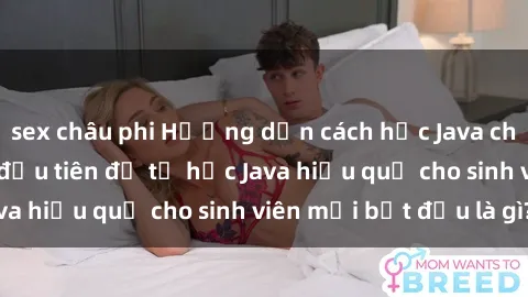 sex châu phi Hướng dẫn cách học Java cho sinh viên: Bước đầu tiên để tự học Java hiệu quả cho sinh viên mới bắt đầu là gì?